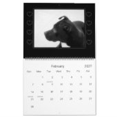 Rettung verfolgt Kalender (Feb 2027)