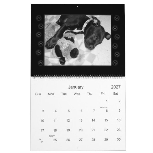 Rettung verfolgt Kalender (Jan 2027)