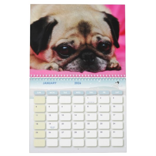 Rettung verfolgt Kalender II (Jan 2026)