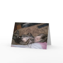 Rettung von Hunden mit geklappter Grußkarte