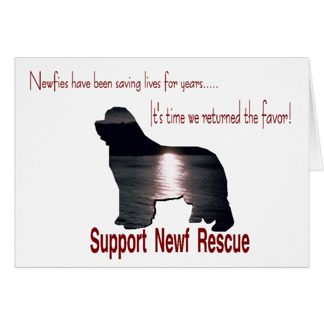 Rettung von Neufundland (Vorderseite (Horizontal))