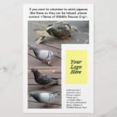 Rettung von Taubenfußverletzungen - individuell an Flyer (Hinten)