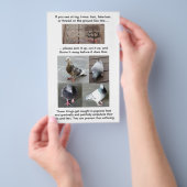 Rettung von Taubenfußverletzungen - individuell an Flyer (Handgriff)