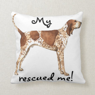 Rettungs-amerikanisches EnglischCoonhound Kissen