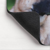 Rettungs-Hund Mousepads (Ecke)