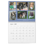 Rettungs-Kalender 2019 Minnesotas Sheltie Kalender (Mär 2027)