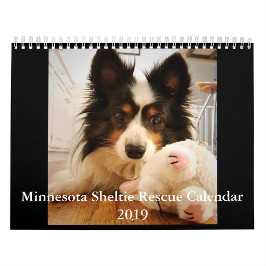 Rettungs-Kalender Minnesotas Sheltie für 2019 Kalender (Titelbild)