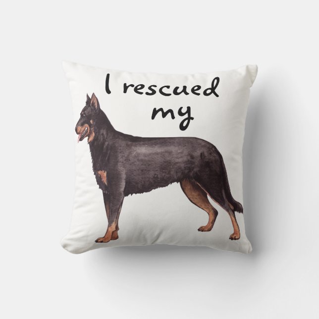 Rettungsanker Kissen (Vorderseite)