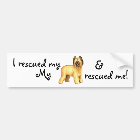 Rettungsbriard Autoaufkleber (Vorne)