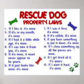 RETTUNGSDOG PL2 POSTER (Vorne)