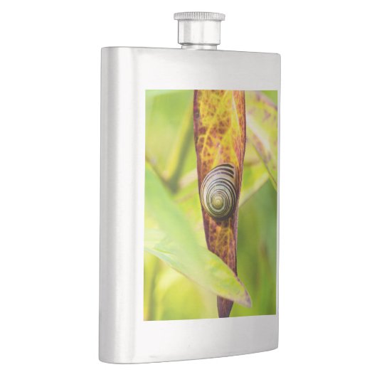 Rettungsflasche Flachmann (Rechts)