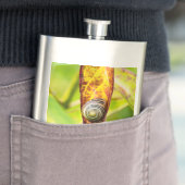 Rettungsflasche Flachmann (Beispiel)