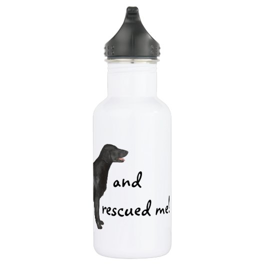 Rettungsflatbeschichteter Retriever Trinkflasche (Rechts)