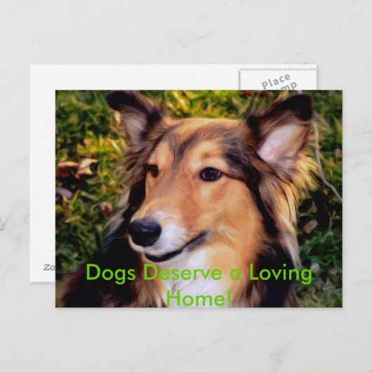 Rettungshund Postkarte (Vorne/Hinten)