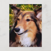 Rettungshund Postkarte (Vorderseite)