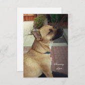 Rettungshunde 3,5" x 5" Flat Dankeschön Karte (Vorne/Hinten)