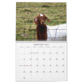 Rettungstiere Kalender (Feb 2027)