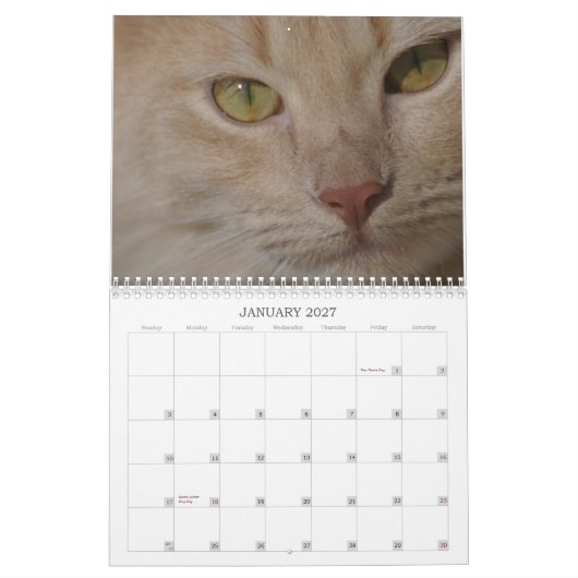 Rettungstiere Kalender (Jan 2027)
