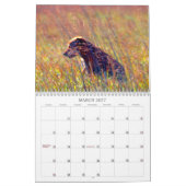 Rettungstiere Kalender (Mär 2027)