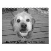 Rettungstiere Kalender (Titelbild)