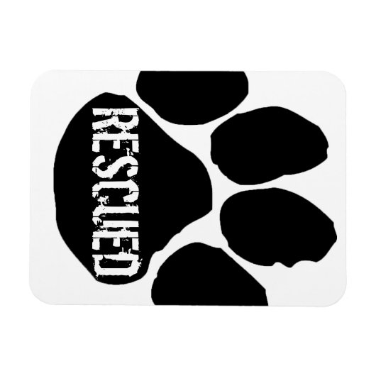 Rettungswagen - Grosses Magnet (Horizontal)