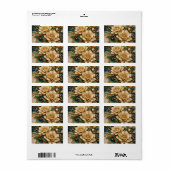 Return Address Label Adressaufkleber (Vorne)