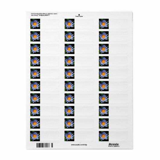 Return address labels (Vorne)