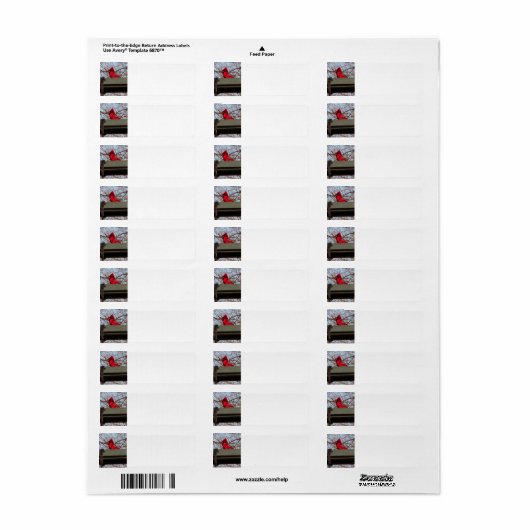 return address labels Cardina; (Vorne)