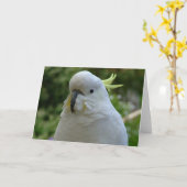 Return of the almond muncher! karte (Gelbe Blume)