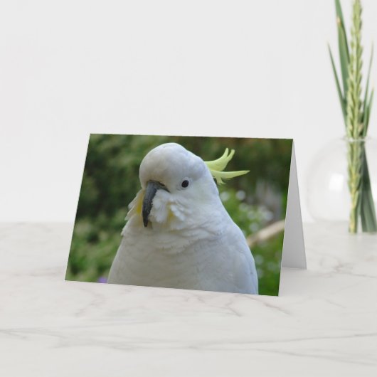 Return of the almond muncher! karte (Vorderseite)