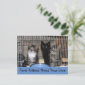 Retuschierte Kätzchen Postkarte (Stehend Vorderseite)