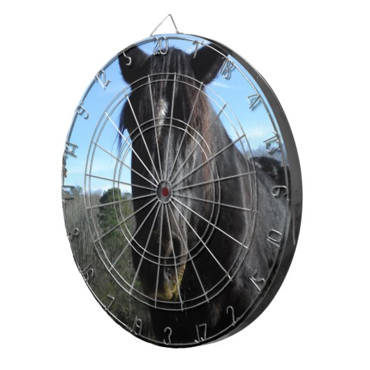 Retuschiertes Schwarzwaldpferd Dartscheibe (Vorderseite rechts)