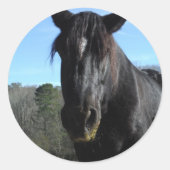 Retuschiertes Schwarzwaldpferd Runder Aufkleber (Vorderseite)