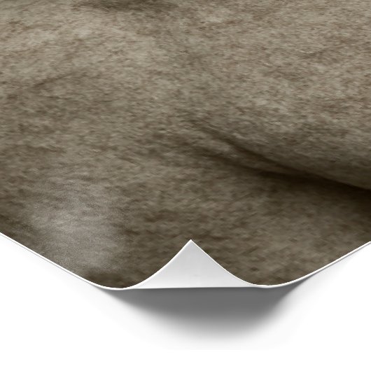 Reusable Grocery Bag Poster (Ecke)