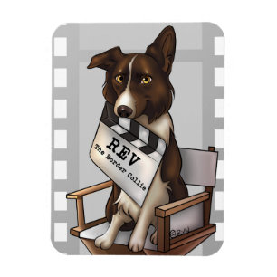 Rev die Border-Collie Magnet