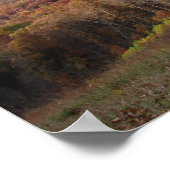 REVELATIONSRAINBOHRPEGASUS POSTER (Ecke)