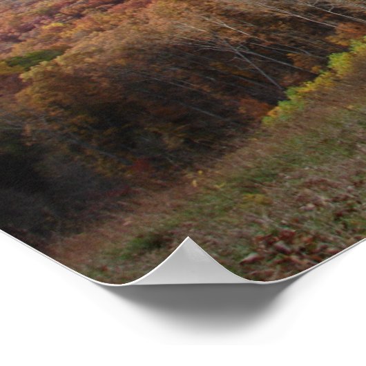 REVELATIONSRAINBOHRPEGASUS POSTER (Ecke)