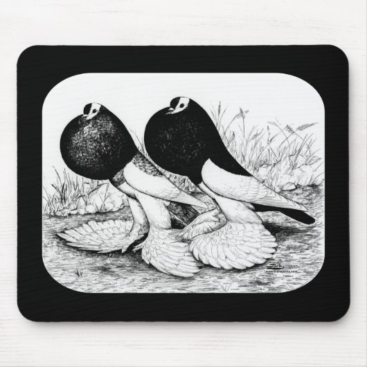 Reversewing Pouter Tauben Mousepad (Vorne)