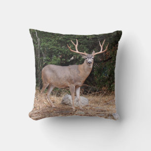 Reversible Deh auf einem Kissen