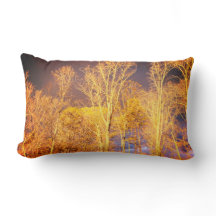 Reversible Lumbar Throw Kissen