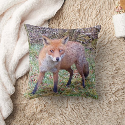 Reversible Niedlich Red Fox Kissen (Decke)