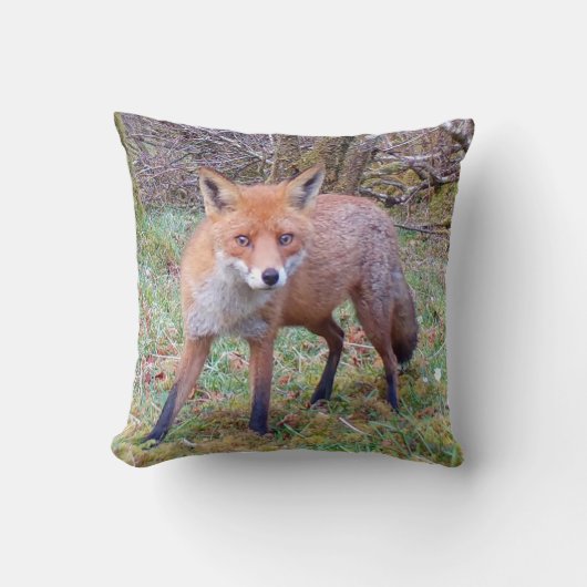 Reversible Niedlich Red Fox Kissen (Vorderseite)
