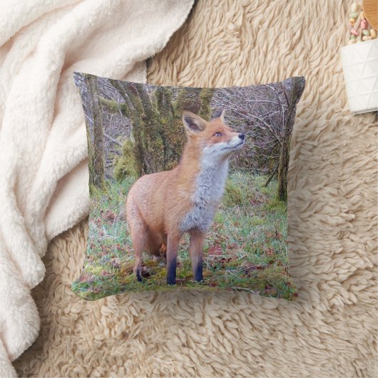 Reversible Red Fox Kissen (Decke)