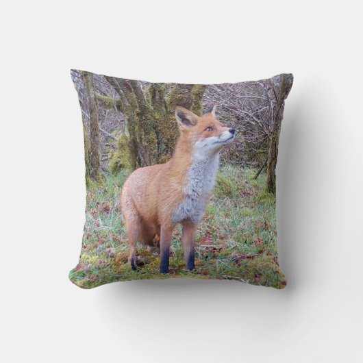 Reversible Red Fox Kissen (Vorderseite)