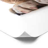 Revised Funny Bulldog - Poster (Ecke)