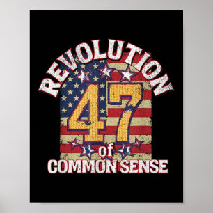Revolution des gesunden Menschenverstandes Trump 4 Poster