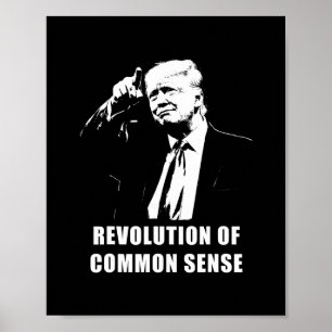 Revolution des gesunden Menschenverstands – Trump Poster