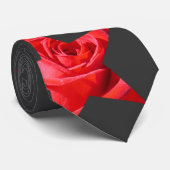 Revolutions-Nostalgie Krawatte (Gerollt)