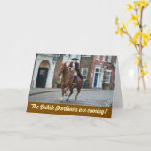 Revolutionskrieg Tabby Karte (Gelbe Blume)