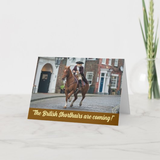 Revolutionskrieg Tabby Karte (Vorderseite)